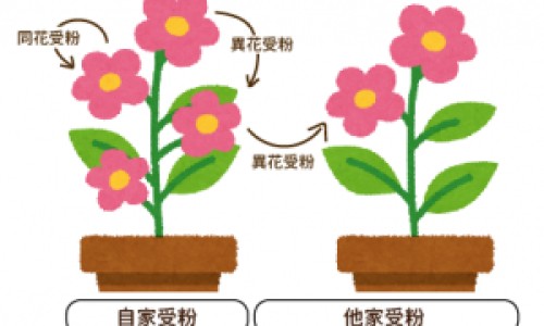 房搏和房颤的区别-房搏用药网 - 网站提供房搏是什么意思小常识、房搏的病因